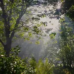 Casa En El Valle *
