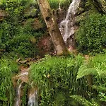 Casa En El Valle