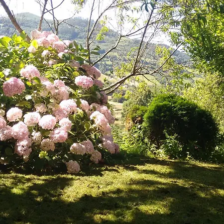 Casa En El Valle