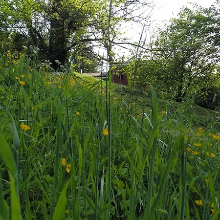 펜션 Casa En El Valle *