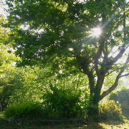 펜션 Casa En El Valle