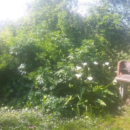 펜션 Casa En El Valle *