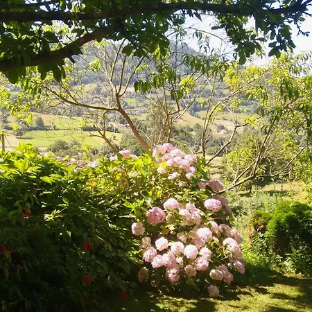 Casa En El Valle 사마