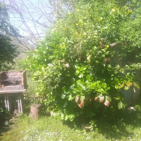 Casa En El Valle * Sama